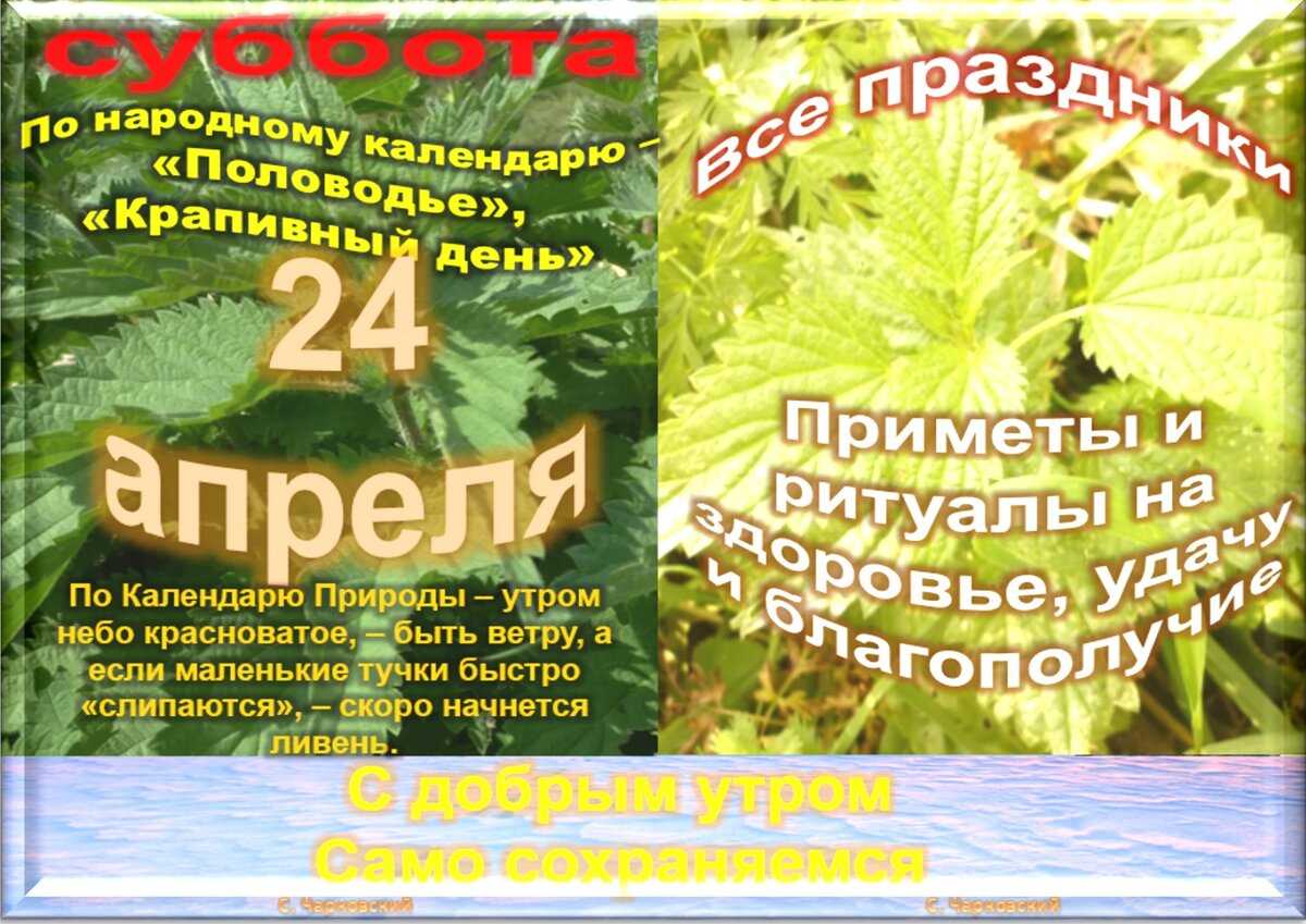 Праздники 24 апреля 2024 года в россии