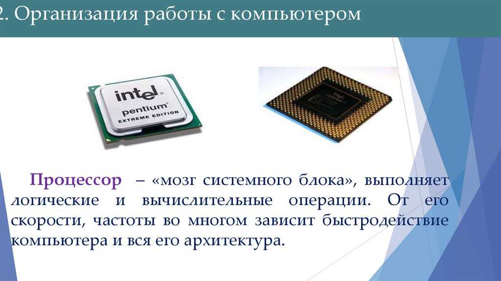 Сколько информации может запомнить мозг?