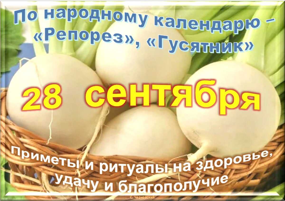 Никитин день: что можно и нельзя делать 28 сентября