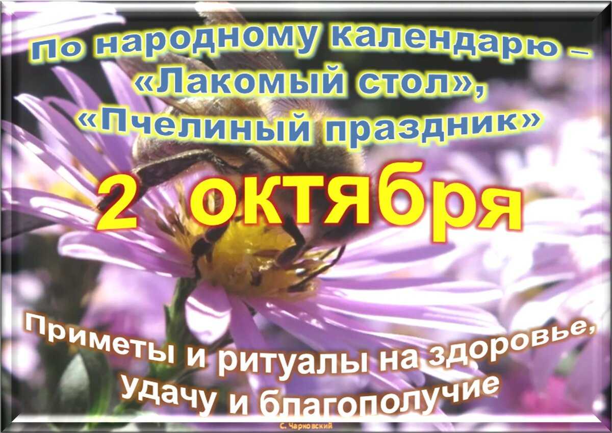 День пчел. что можно и чего нельзя 2 октября 2023 года | общество | аиф аргументы и факты в беларуси