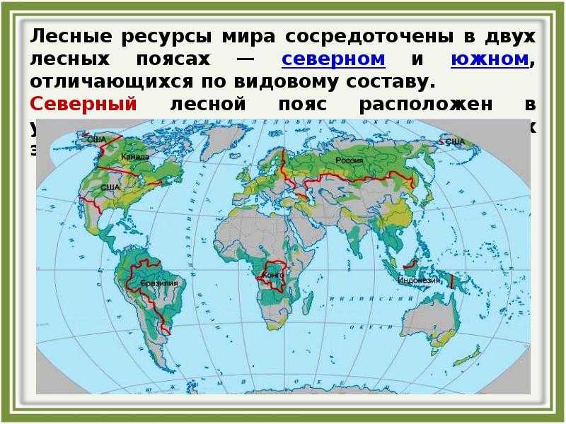 Топ-15 стран с самой большой площадью лесов