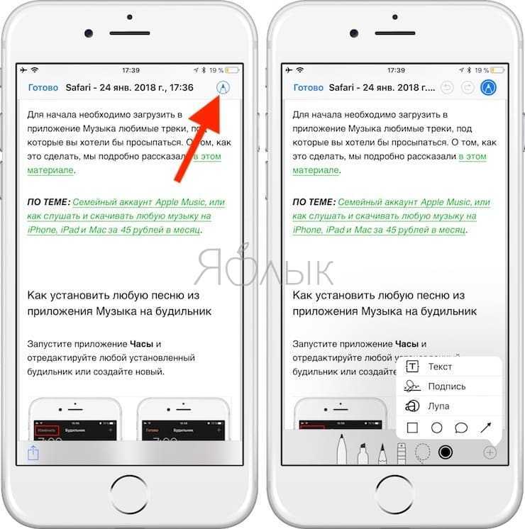 🥇 ▷ как скачать pdf-файлы из safari на iphone, ipad и mac » ✅