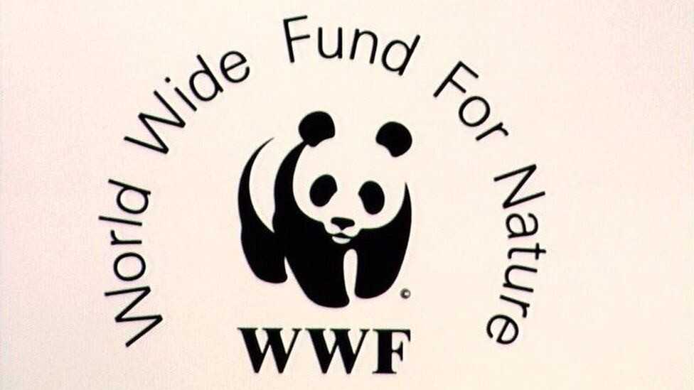 Wwf - frwiki.wiki