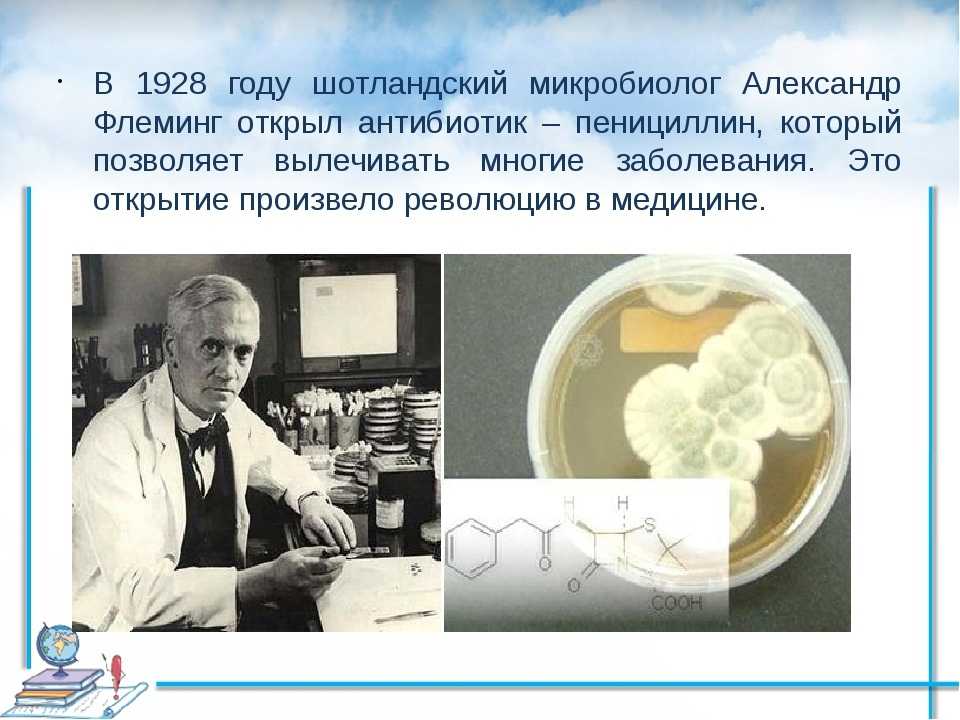 Биография ученого Александра Флеминга, открывшего антибиотик. История изобретения пенициллина, легенды, интересные факты, судьба и научная деятельность первооткрывателя