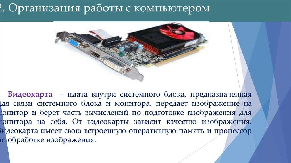 Рекорды мозга человека
