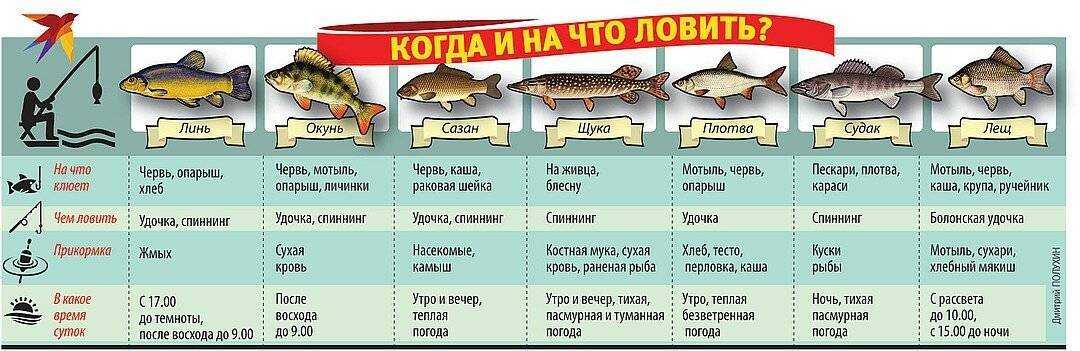 Рыболовные снасти: разновидности и применение