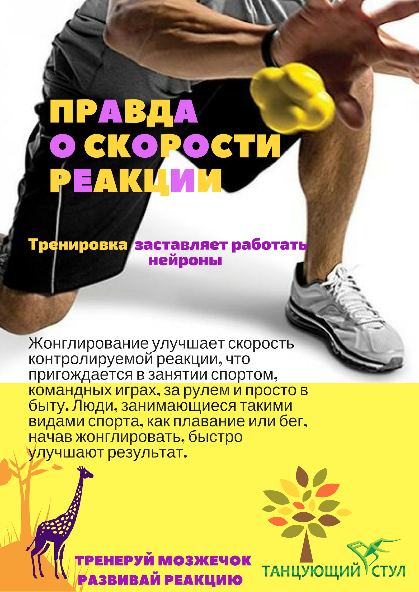 Как развить реакцию: ловим падающие чашки и принимаем решения | блог 4brain