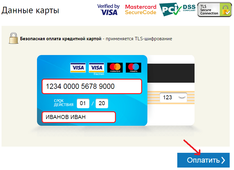 История компании visa и интересные факты о компании виза