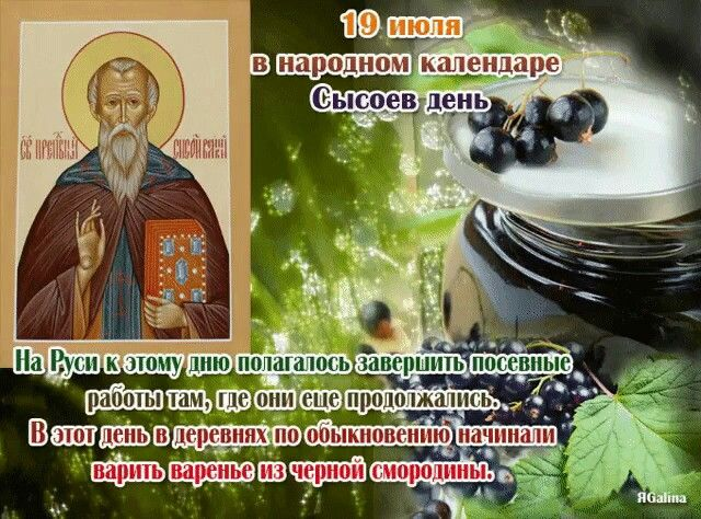 Какой сегодня, 19 июля 2023 года, отмечают праздник в россии и мире