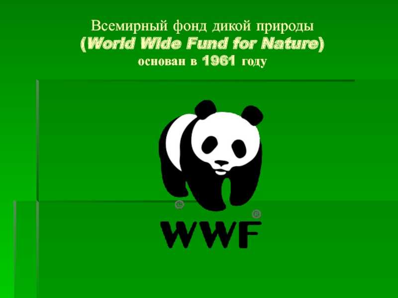Wwf: world wide fund for nature