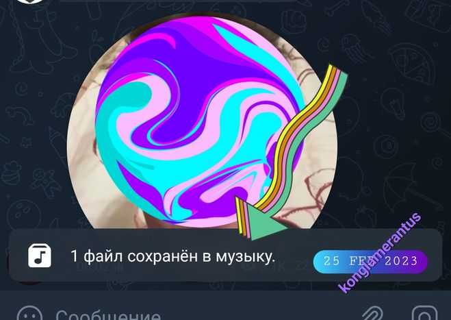 Как скачать кружок из телеграмма