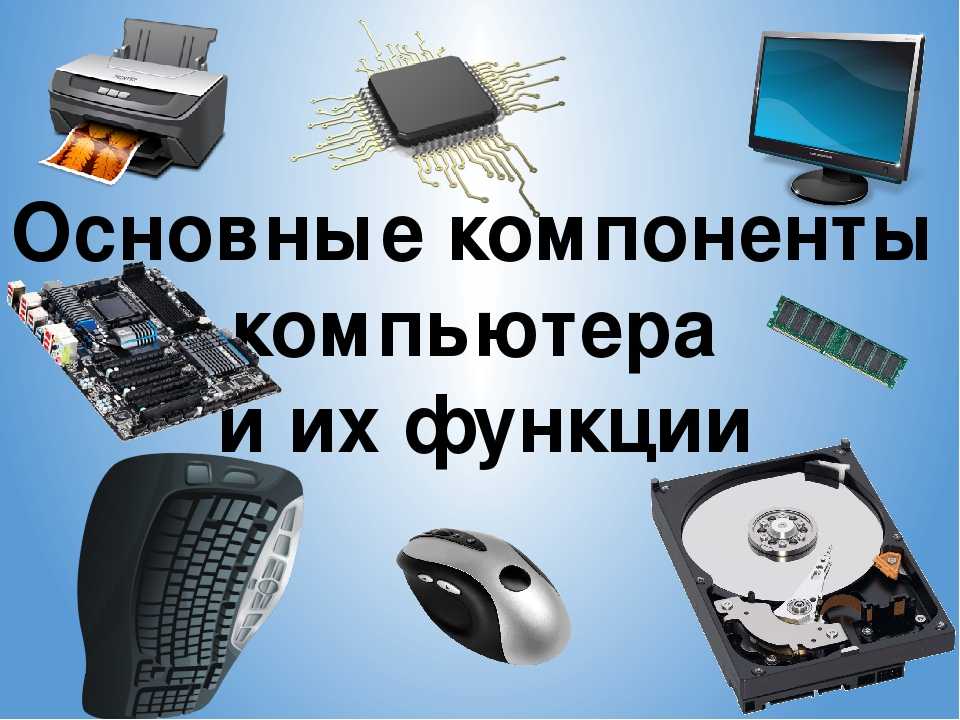 Устройство ноутбука - уроки работы на ноутбуке | дикая правда