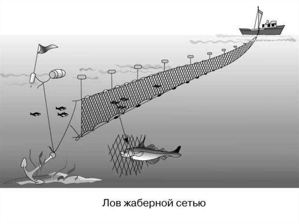 На крючке: как перестать бояться и начать ловить рыбу