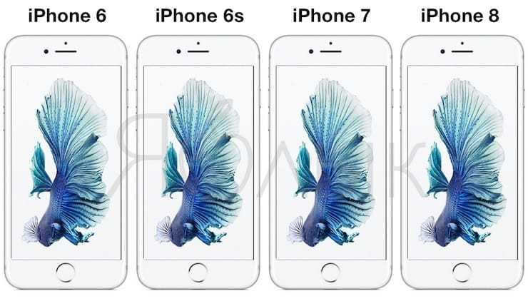 Какой телефон лучше: iphone 7 или 8