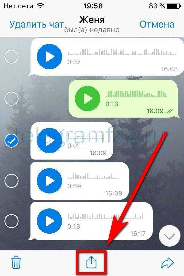 Как в телеграме можно записать голосовое сообщение и отправить аудиофайл