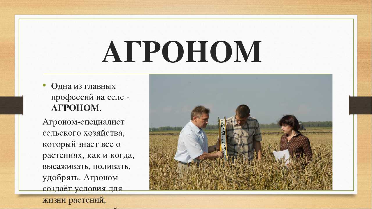 Агроном: специфика профессии, обязанности, зарплата