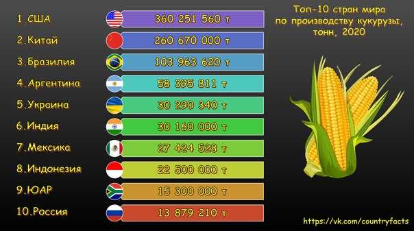 Рынок зерна 2021/22 года: рекорды, антирекорды и новые вызовы