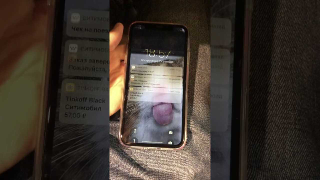 Iphone 11 pro — три камеры, новые цвета и самый мощный в мире процессор