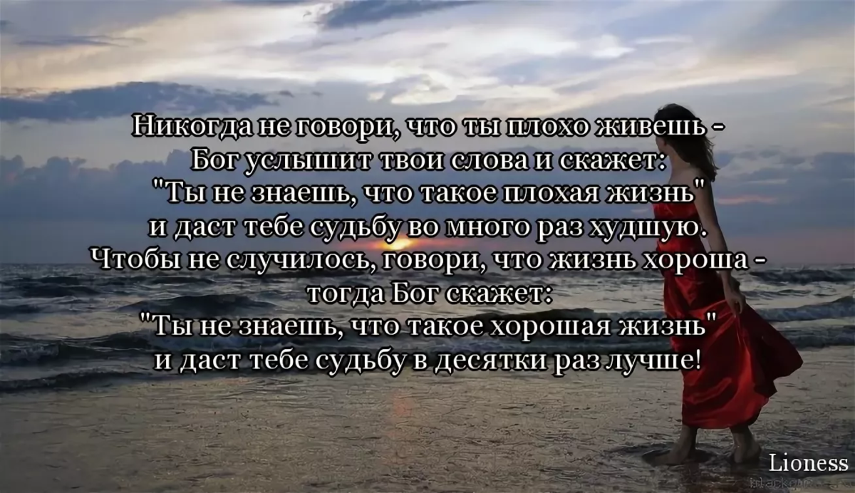 Скачать книгу сказать жизни «да!»: психолог в концлагере бесплатно