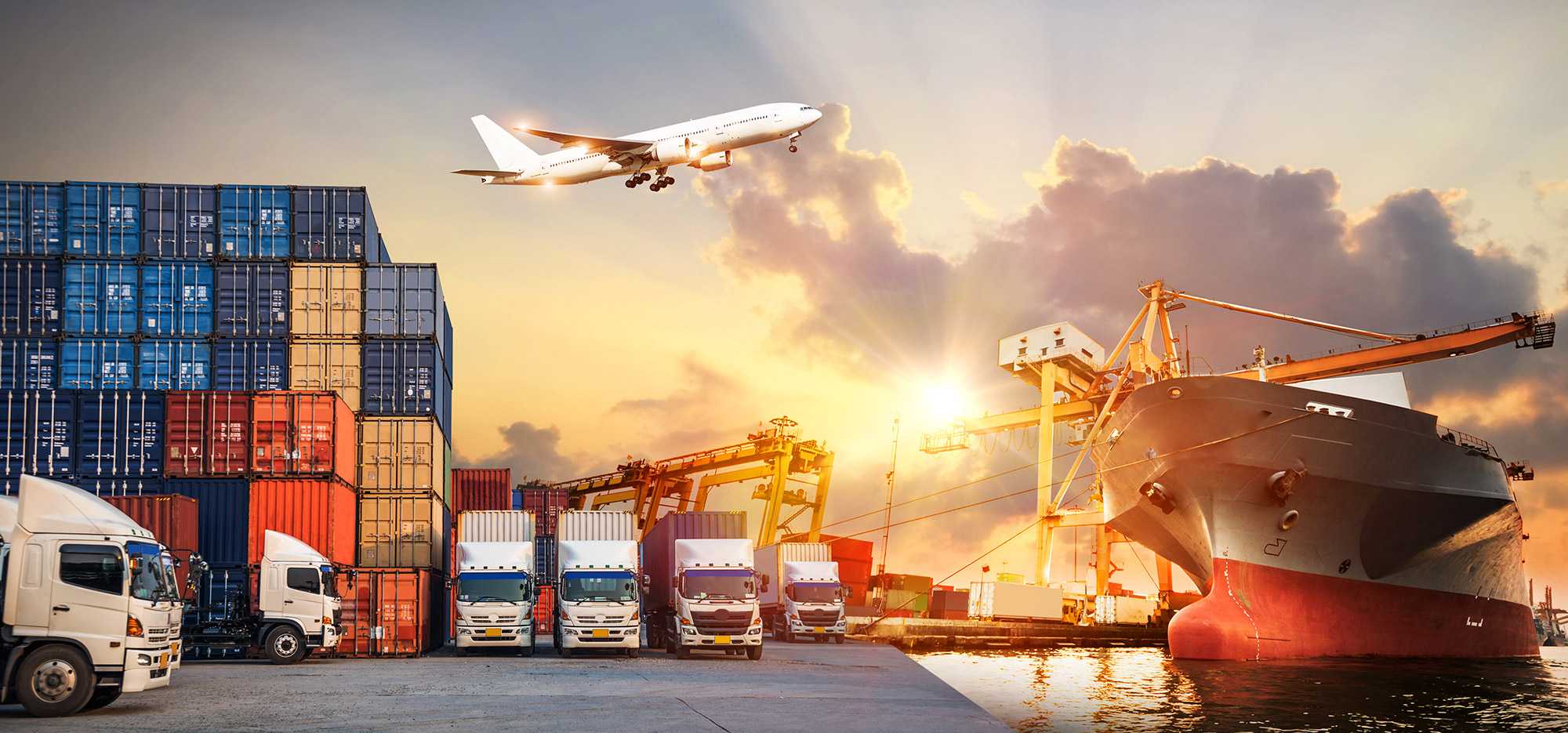 7 best logistics management books you should read