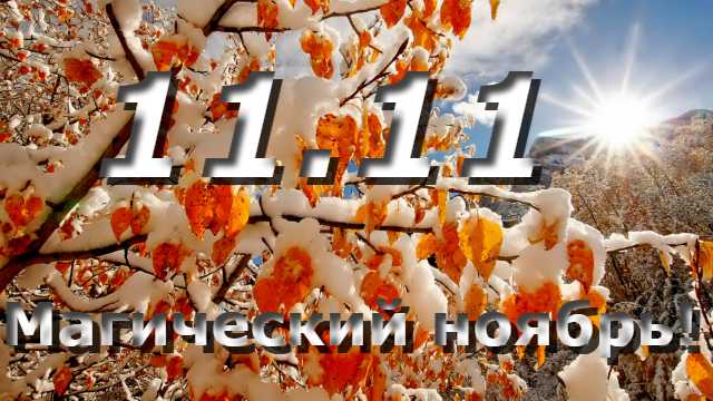 Праздники 11 ноября — какой праздник в россии 11  ноября 2023