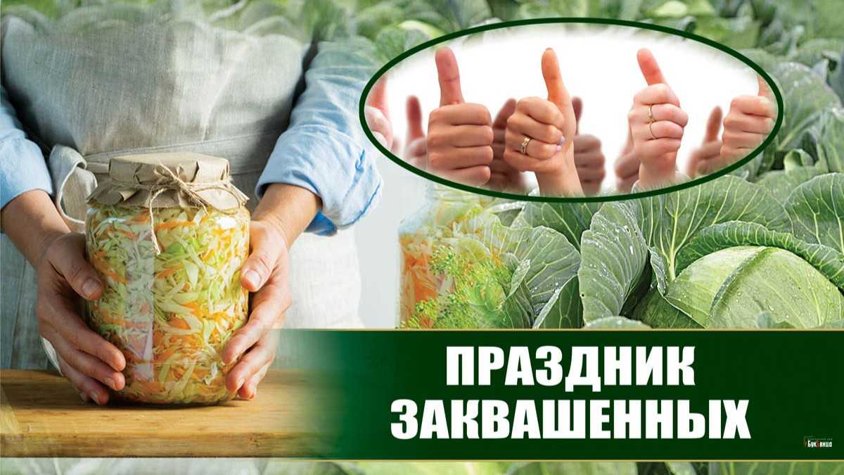 День в истории: праздники события и даты 11 ноября  | агентство деловой информации