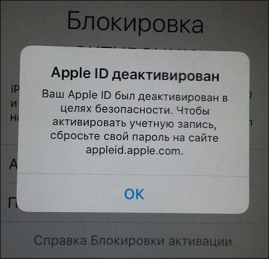 Как предотвратить фишинговую атаку с помощью поддельных писем на моем iphone