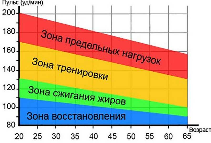 Экг: как подключить технологию для серьезного отслеживания здоровья | про умные часы и браслеты
