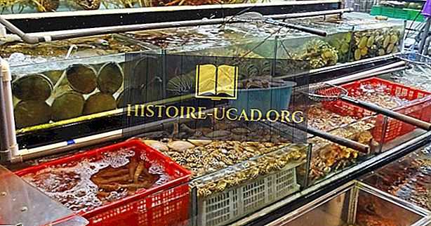 Фирмы рыболовных снастей: список лидеров на рынке