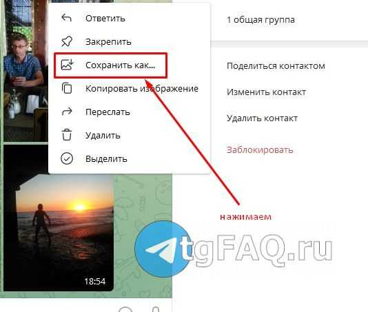 Как сохранить видео из телеграмма