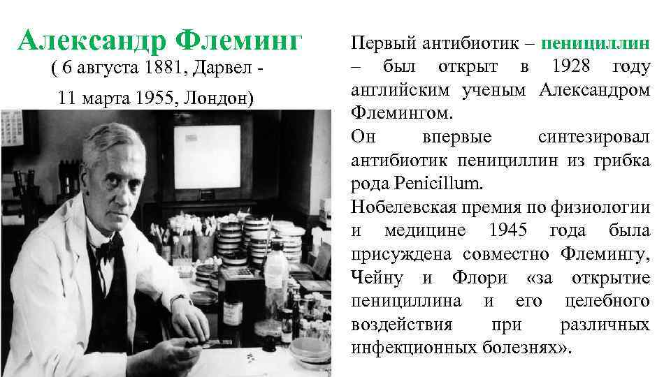 Флеминг, александр: жизнь и достижения выдающегося ученого и открытого мира человека