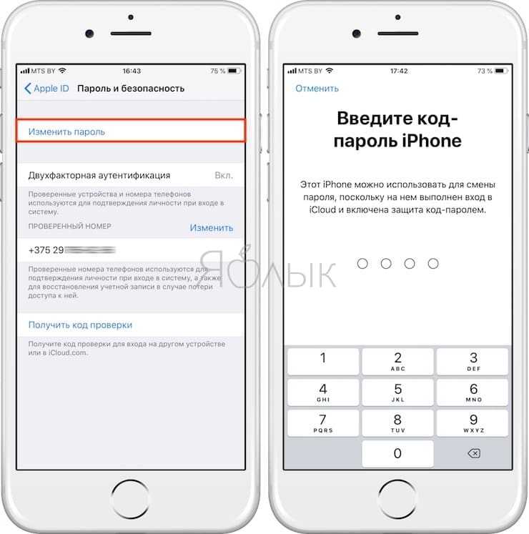 Забыла пароль от apple id — что делать и как сбросить?
