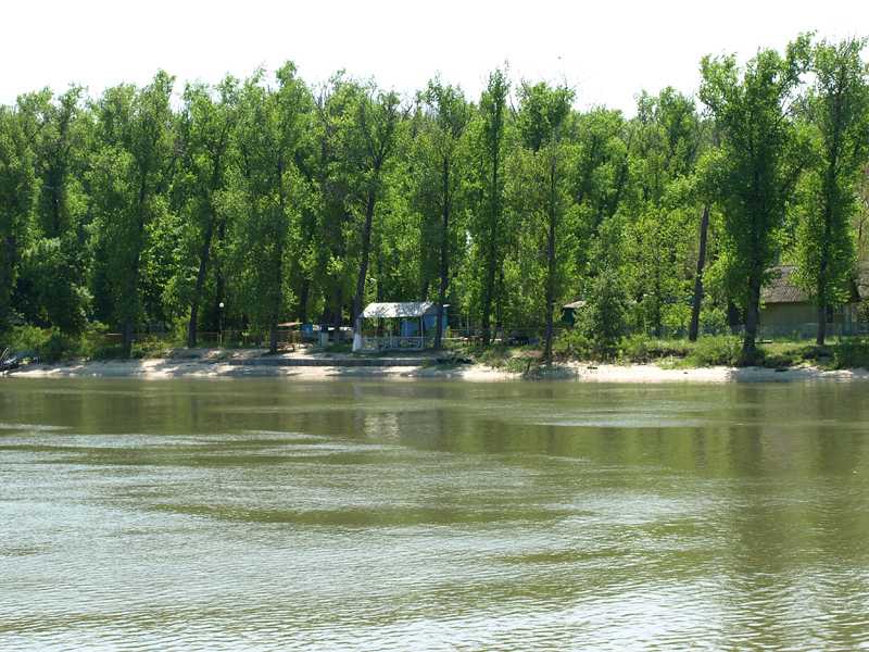Когда откроют зеленый остров в ростове-на-дону 2023