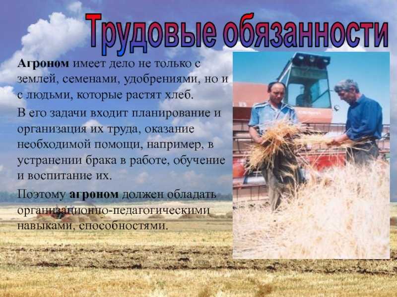 Лайфхак: агроном, важнейшая профессия в сельской местности, описание труда