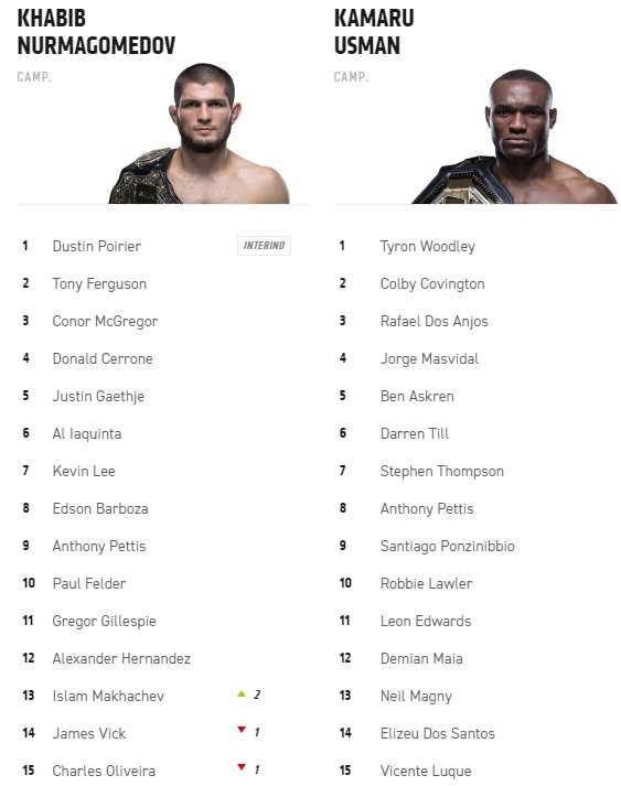 Самые лучшие бойцы ufc за всю историю – топ бойцов юфс всех времён